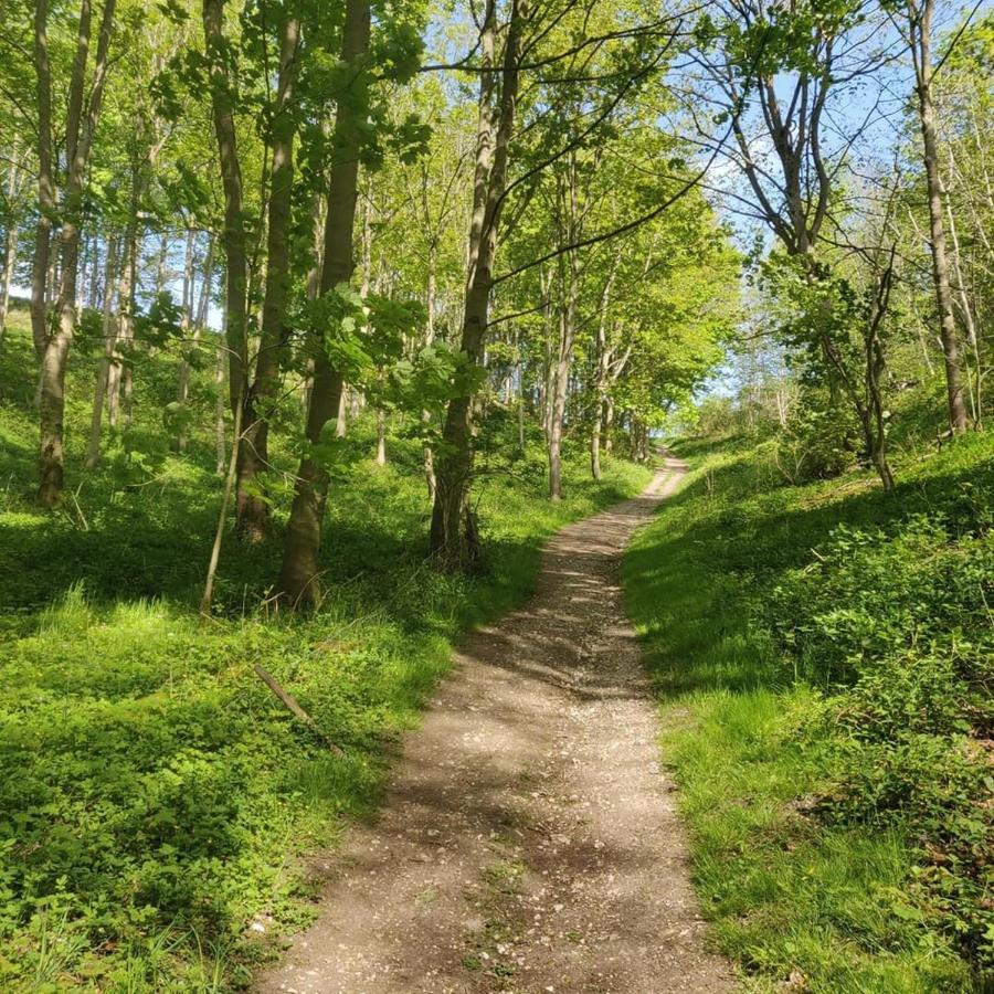 Holly Cottage, Hidden Gem In The Yorkshire Wolds Welton  外观 照片